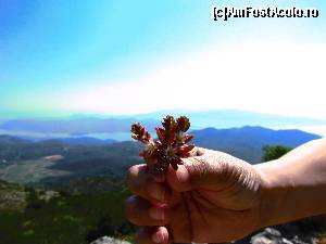 [P18]  -- <small>// FĂRĂ DESCRIERE</small> » foto by RUSTICCO
 - 
<span class="allrVoted glyphicon glyphicon-heart hidden" id="av520474"></span>
<a class="m-l-10 hidden" id="sv520474" onclick="voting_Foto_DelVot(,520474,16678)" role="button">șterge vot <span class="glyphicon glyphicon-remove"></span></a>
<a id="v9520474" class=" c-red"  onclick="voting_Foto_SetVot(520474)" role="button"><span class="glyphicon glyphicon-heart-empty"></span> <b>LIKE</b> = Votează poza</a> <img class="hidden"  id="f520474W9" src="/imagini/loader.gif" border="0" /><span class="AjErrMes hidden" id="e520474ErM"></span>