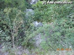 [P18] Cascada Dimosari - Pe drumul spre cascadă, stânci şi vegetaţie.  » foto by iulianic
 - 
<span class="allrVoted glyphicon glyphicon-heart hidden" id="av497162"></span>
<a class="m-l-10 hidden" id="sv497162" onclick="voting_Foto_DelVot(,497162,16678)" role="button">șterge vot <span class="glyphicon glyphicon-remove"></span></a>
<a id="v9497162" class=" c-red"  onclick="voting_Foto_SetVot(497162)" role="button"><span class="glyphicon glyphicon-heart-empty"></span> <b>LIKE</b> = Votează poza</a> <img class="hidden"  id="f497162W9" src="/imagini/loader.gif" border="0" /><span class="AjErrMes hidden" id="e497162ErM"></span>