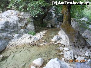 [P19] Cascada Dimosari - Pârâiaşul care vine de la cascadă.  » foto by iulianic
 - 
<span class="allrVoted glyphicon glyphicon-heart hidden" id="av497163"></span>
<a class="m-l-10 hidden" id="sv497163" onclick="voting_Foto_DelVot(,497163,16678)" role="button">șterge vot <span class="glyphicon glyphicon-remove"></span></a>
<a id="v9497163" class=" c-red"  onclick="voting_Foto_SetVot(497163)" role="button"><span class="glyphicon glyphicon-heart-empty"></span> <b>LIKE</b> = Votează poza</a> <img class="hidden"  id="f497163W9" src="/imagini/loader.gif" border="0" /><span class="AjErrMes hidden" id="e497163ErM"></span>