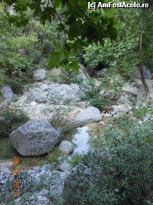 [P20] Cascada Dimosari - Natura sălbatică a Lefkadei.  » foto by iulianic
 - 
<span class="allrVoted glyphicon glyphicon-heart hidden" id="av497164"></span>
<a class="m-l-10 hidden" id="sv497164" onclick="voting_Foto_DelVot(,497164,16678)" role="button">șterge vot <span class="glyphicon glyphicon-remove"></span></a>
<a id="v9497164" class=" c-red"  onclick="voting_Foto_SetVot(497164)" role="button"><span class="glyphicon glyphicon-heart-empty"></span> <b>LIKE</b> = Votează poza</a> <img class="hidden"  id="f497164W9" src="/imagini/loader.gif" border="0" /><span class="AjErrMes hidden" id="e497164ErM"></span>