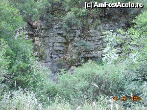 [P21] Cascada Dimosari - Spre cascadă.  » foto by iulianic
 - 
<span class="allrVoted glyphicon glyphicon-heart hidden" id="av497165"></span>
<a class="m-l-10 hidden" id="sv497165" onclick="voting_Foto_DelVot(,497165,16678)" role="button">șterge vot <span class="glyphicon glyphicon-remove"></span></a>
<a id="v9497165" class=" c-red"  onclick="voting_Foto_SetVot(497165)" role="button"><span class="glyphicon glyphicon-heart-empty"></span> <b>LIKE</b> = Votează poza</a> <img class="hidden"  id="f497165W9" src="/imagini/loader.gif" border="0" /><span class="AjErrMes hidden" id="e497165ErM"></span>