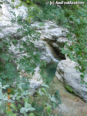 [P23] Cascada Dimosari - Spre cascadă.  » foto by iulianic
 - 
<span class="allrVoted glyphicon glyphicon-heart hidden" id="av497167"></span>
<a class="m-l-10 hidden" id="sv497167" onclick="voting_Foto_DelVot(,497167,16678)" role="button">șterge vot <span class="glyphicon glyphicon-remove"></span></a>
<a id="v9497167" class=" c-red"  onclick="voting_Foto_SetVot(497167)" role="button"><span class="glyphicon glyphicon-heart-empty"></span> <b>LIKE</b> = Votează poza</a> <img class="hidden"  id="f497167W9" src="/imagini/loader.gif" border="0" /><span class="AjErrMes hidden" id="e497167ErM"></span>