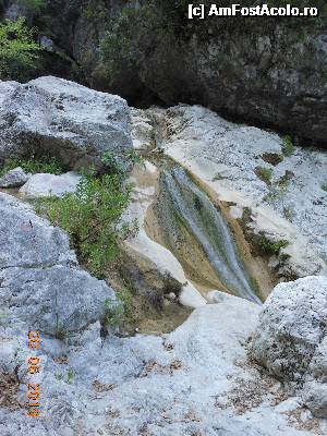 [P25] Cascada Dimosari - Spre cascadă.  » foto by iulianic
 - 
<span class="allrVoted glyphicon glyphicon-heart hidden" id="av497169"></span>
<a class="m-l-10 hidden" id="sv497169" onclick="voting_Foto_DelVot(,497169,16678)" role="button">șterge vot <span class="glyphicon glyphicon-remove"></span></a>
<a id="v9497169" class=" c-red"  onclick="voting_Foto_SetVot(497169)" role="button"><span class="glyphicon glyphicon-heart-empty"></span> <b>LIKE</b> = Votează poza</a> <img class="hidden"  id="f497169W9" src="/imagini/loader.gif" border="0" /><span class="AjErrMes hidden" id="e497169ErM"></span>