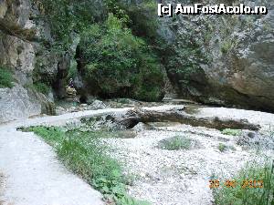 [P27] Cascada Dimosari - Spre cascadă.  » foto by iulianic
 - 
<span class="allrVoted glyphicon glyphicon-heart hidden" id="av497171"></span>
<a class="m-l-10 hidden" id="sv497171" onclick="voting_Foto_DelVot(,497171,16678)" role="button">șterge vot <span class="glyphicon glyphicon-remove"></span></a>
<a id="v9497171" class=" c-red"  onclick="voting_Foto_SetVot(497171)" role="button"><span class="glyphicon glyphicon-heart-empty"></span> <b>LIKE</b> = Votează poza</a> <img class="hidden"  id="f497171W9" src="/imagini/loader.gif" border="0" /><span class="AjErrMes hidden" id="e497171ErM"></span>