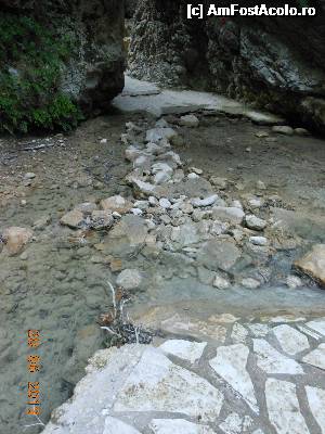 [P28] Cascada Dimosari - Spre cascadă.  » foto by iulianic
 - 
<span class="allrVoted glyphicon glyphicon-heart hidden" id="av497172"></span>
<a class="m-l-10 hidden" id="sv497172" onclick="voting_Foto_DelVot(,497172,16678)" role="button">șterge vot <span class="glyphicon glyphicon-remove"></span></a>
<a id="v9497172" class=" c-red"  onclick="voting_Foto_SetVot(497172)" role="button"><span class="glyphicon glyphicon-heart-empty"></span> <b>LIKE</b> = Votează poza</a> <img class="hidden"  id="f497172W9" src="/imagini/loader.gif" border="0" /><span class="AjErrMes hidden" id="e497172ErM"></span>