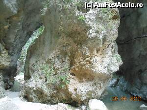 [P30] Cascada Dimosari - Spre cascadă.  » foto by iulianic
 - 
<span class="allrVoted glyphicon glyphicon-heart hidden" id="av497174"></span>
<a class="m-l-10 hidden" id="sv497174" onclick="voting_Foto_DelVot(,497174,16678)" role="button">șterge vot <span class="glyphicon glyphicon-remove"></span></a>
<a id="v9497174" class=" c-red"  onclick="voting_Foto_SetVot(497174)" role="button"><span class="glyphicon glyphicon-heart-empty"></span> <b>LIKE</b> = Votează poza</a> <img class="hidden"  id="f497174W9" src="/imagini/loader.gif" border="0" /><span class="AjErrMes hidden" id="e497174ErM"></span>