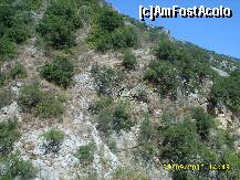 [P05] Cascada Dimossari,peisaj de munte » foto by raduu1972
 - 
<span class="allrVoted glyphicon glyphicon-heart hidden" id="av153572"></span>
<a class="m-l-10 hidden" id="sv153572" onclick="voting_Foto_DelVot(,153572,16678)" role="button">șterge vot <span class="glyphicon glyphicon-remove"></span></a>
<a id="v9153572" class=" c-red"  onclick="voting_Foto_SetVot(153572)" role="button"><span class="glyphicon glyphicon-heart-empty"></span> <b>LIKE</b> = Votează poza</a> <img class="hidden"  id="f153572W9" src="/imagini/loader.gif" border="0" /><span class="AjErrMes hidden" id="e153572ErM"></span>