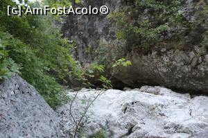 [P02] In drum spre cascada » foto by Leontina.
 - 
<span class="allrVoted glyphicon glyphicon-heart hidden" id="av776822"></span>
<a class="m-l-10 hidden" id="sv776822" onclick="voting_Foto_DelVot(,776822,16678)" role="button">șterge vot <span class="glyphicon glyphicon-remove"></span></a>
<a id="v9776822" class=" c-red"  onclick="voting_Foto_SetVot(776822)" role="button"><span class="glyphicon glyphicon-heart-empty"></span> <b>LIKE</b> = Votează poza</a> <img class="hidden"  id="f776822W9" src="/imagini/loader.gif" border="0" /><span class="AjErrMes hidden" id="e776822ErM"></span>