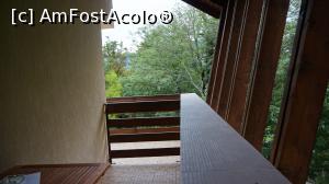 [P01]  -- <small>// FĂRĂ DESCRIERE</small> » foto by cori80
 - 
<span class="allrVoted glyphicon glyphicon-heart hidden" id="av733835"></span>
<a class="m-l-10 hidden" id="sv733835" onclick="voting_Foto_DelVot(,733835,16684)" role="button">șterge vot <span class="glyphicon glyphicon-remove"></span></a>
<a id="v9733835" class=" c-red"  onclick="voting_Foto_SetVot(733835)" role="button"><span class="glyphicon glyphicon-heart-empty"></span> <b>LIKE</b> = Votează poza</a> <img class="hidden"  id="f733835W9" src="/imagini/loader.gif" border="0" /><span class="AjErrMes hidden" id="e733835ErM"></span>