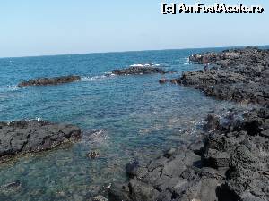 [P05] Insula Jeju este formată din piatră vulcanică.  » foto by GMia
 - 
<span class="allrVoted glyphicon glyphicon-heart hidden" id="av521531"></span>
<a class="m-l-10 hidden" id="sv521531" onclick="voting_Foto_DelVot(,521531,16707)" role="button">șterge vot <span class="glyphicon glyphicon-remove"></span></a>
<a id="v9521531" class=" c-red"  onclick="voting_Foto_SetVot(521531)" role="button"><span class="glyphicon glyphicon-heart-empty"></span> <b>LIKE</b> = Votează poza</a> <img class="hidden"  id="f521531W9" src="/imagini/loader.gif" border="0" /><span class="AjErrMes hidden" id="e521531ErM"></span>
