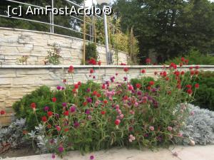 [P26] PrimaSol Raltsa Superior. Flori de toamna...  » foto by Floria
 - 
<span class="allrVoted glyphicon glyphicon-heart hidden" id="av831679"></span>
<a class="m-l-10 hidden" id="sv831679" onclick="voting_Foto_DelVot(,831679,16714)" role="button">șterge vot <span class="glyphicon glyphicon-remove"></span></a>
<a id="v9831679" class=" c-red"  onclick="voting_Foto_SetVot(831679)" role="button"><span class="glyphicon glyphicon-heart-empty"></span> <b>LIKE</b> = Votează poza</a> <img class="hidden"  id="f831679W9" src="/imagini/loader.gif" border="0" /><span class="AjErrMes hidden" id="e831679ErM"></span>