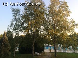 [P47] PrimaSol Ralitsa Superior.  » foto by Floria
 - 
<span class="allrVoted glyphicon glyphicon-heart hidden" id="av831725"></span>
<a class="m-l-10 hidden" id="sv831725" onclick="voting_Foto_DelVot(,831725,16714)" role="button">șterge vot <span class="glyphicon glyphicon-remove"></span></a>
<a id="v9831725" class=" c-red"  onclick="voting_Foto_SetVot(831725)" role="button"><span class="glyphicon glyphicon-heart-empty"></span> <b>LIKE</b> = Votează poza</a> <img class="hidden"  id="f831725W9" src="/imagini/loader.gif" border="0" /><span class="AjErrMes hidden" id="e831725ErM"></span>