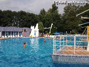 [P16] Piscina unde activa echipa de animatie.  » foto by gotty
 - 
<span class="allrVoted glyphicon glyphicon-heart hidden" id="av560529"></span>
<a class="m-l-10 hidden" id="sv560529" onclick="voting_Foto_DelVot(,560529,16714)" role="button">șterge vot <span class="glyphicon glyphicon-remove"></span></a>
<a id="v9560529" class=" c-red"  onclick="voting_Foto_SetVot(560529)" role="button"><span class="glyphicon glyphicon-heart-empty"></span> <b>LIKE</b> = Votează poza</a> <img class="hidden"  id="f560529W9" src="/imagini/loader.gif" border="0" /><span class="AjErrMes hidden" id="e560529ErM"></span>