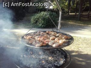 [P01]  -- <small>// FĂRĂ DESCRIERE</small> » foto by parvur22
 - 
<span class="allrVoted glyphicon glyphicon-heart hidden" id="av1004714"></span>
<a class="m-l-10 hidden" id="sv1004714" onclick="voting_Foto_DelVot(,1004714,16714)" role="button">șterge vot <span class="glyphicon glyphicon-remove"></span></a>
<a id="v91004714" class=" c-red"  onclick="voting_Foto_SetVot(1004714)" role="button"><span class="glyphicon glyphicon-heart-empty"></span> <b>LIKE</b> = Votează poza</a> <img class="hidden"  id="f1004714W9" src="/imagini/loader.gif" border="0" /><span class="AjErrMes hidden" id="e1004714ErM"></span>