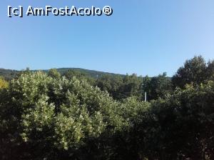 [P02]  -- <small>// FĂRĂ DESCRIERE</small> » foto by parvur22
 - 
<span class="allrVoted glyphicon glyphicon-heart hidden" id="av1004715"></span>
<a class="m-l-10 hidden" id="sv1004715" onclick="voting_Foto_DelVot(,1004715,16714)" role="button">șterge vot <span class="glyphicon glyphicon-remove"></span></a>
<a id="v91004715" class=" c-red"  onclick="voting_Foto_SetVot(1004715)" role="button"><span class="glyphicon glyphicon-heart-empty"></span> <b>LIKE</b> = Votează poza</a> <img class="hidden"  id="f1004715W9" src="/imagini/loader.gif" border="0" /><span class="AjErrMes hidden" id="e1004715ErM"></span>