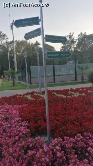 [P02]  -- <small>// FĂRĂ DESCRIERE</small> » foto by sergiu_1
 - 
<span class="allrVoted glyphicon glyphicon-heart hidden" id="av899946"></span>
<a class="m-l-10 hidden" id="sv899946" onclick="voting_Foto_DelVot(,899946,16714)" role="button">șterge vot <span class="glyphicon glyphicon-remove"></span></a>
<a id="v9899946" class=" c-red"  onclick="voting_Foto_SetVot(899946)" role="button"><span class="glyphicon glyphicon-heart-empty"></span> <b>LIKE</b> = Votează poza</a> <img class="hidden"  id="f899946W9" src="/imagini/loader.gif" border="0" /><span class="AjErrMes hidden" id="e899946ErM"></span>