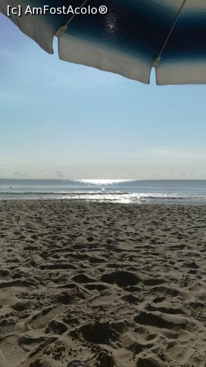 [P07]  -- <small>// FĂRĂ DESCRIERE</small> » foto by sergiu_1
 - 
<span class="allrVoted glyphicon glyphicon-heart hidden" id="av899955"></span>
<a class="m-l-10 hidden" id="sv899955" onclick="voting_Foto_DelVot(,899955,16714)" role="button">șterge vot <span class="glyphicon glyphicon-remove"></span></a>
<a id="v9899955" class=" c-red"  onclick="voting_Foto_SetVot(899955)" role="button"><span class="glyphicon glyphicon-heart-empty"></span> <b>LIKE</b> = Votează poza</a> <img class="hidden"  id="f899955W9" src="/imagini/loader.gif" border="0" /><span class="AjErrMes hidden" id="e899955ErM"></span>