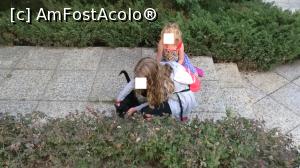 [P08]  -- <small>// FĂRĂ DESCRIERE</small> » foto by sergiu_1
 - 
<span class="allrVoted glyphicon glyphicon-heart hidden" id="av899956"></span>
<a class="m-l-10 hidden" id="sv899956" onclick="voting_Foto_DelVot(,899956,16714)" role="button">șterge vot <span class="glyphicon glyphicon-remove"></span></a>
<a id="v9899956" class=" c-red"  onclick="voting_Foto_SetVot(899956)" role="button"><span class="glyphicon glyphicon-heart-empty"></span> <b>LIKE</b> = Votează poza</a> <img class="hidden"  id="f899956W9" src="/imagini/loader.gif" border="0" /><span class="AjErrMes hidden" id="e899956ErM"></span>