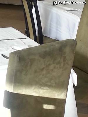 [P01] Scaunele din restaurantul principal!!!  » foto by ccdaniela*
 - 
<span class="allrVoted glyphicon glyphicon-heart hidden" id="av525526"></span>
<a class="m-l-10 hidden" id="sv525526" onclick="voting_Foto_DelVot(,525526,16748)" role="button">șterge vot <span class="glyphicon glyphicon-remove"></span></a>
<a id="v9525526" class=" c-red"  onclick="voting_Foto_SetVot(525526)" role="button"><span class="glyphicon glyphicon-heart-empty"></span> <b>LIKE</b> = Votează poza</a> <img class="hidden"  id="f525526W9" src="/imagini/loader.gif" border="0" /><span class="AjErrMes hidden" id="e525526ErM"></span>