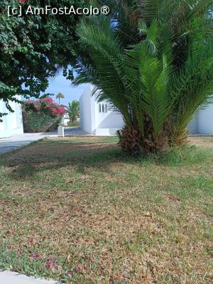 [P14] Curtea resortului , cladirile mici albe sunt bungalow-uri » foto by Florenta90
 - 
<span class="allrVoted glyphicon glyphicon-heart hidden" id="av1518156"></span>
<a class="m-l-10 hidden" id="sv1518156" onclick="voting_Foto_DelVot(,1518156,16748)" role="button">șterge vot <span class="glyphicon glyphicon-remove"></span></a>
<a id="v91518156" class=" c-red"  onclick="voting_Foto_SetVot(1518156)" role="button"><span class="glyphicon glyphicon-heart-empty"></span> <b>LIKE</b> = Votează poza</a> <img class="hidden"  id="f1518156W9" src="/imagini/loader.gif" border="0" /><span class="AjErrMes hidden" id="e1518156ErM"></span>