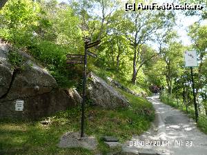 [P56] Spre Fjellstua- 418 trepte » foto by Alina53
 - 
<span class="allrVoted glyphicon glyphicon-heart hidden" id="av523586"></span>
<a class="m-l-10 hidden" id="sv523586" onclick="voting_Foto_DelVot(,523586,16750)" role="button">șterge vot <span class="glyphicon glyphicon-remove"></span></a>
<a id="v9523586" class=" c-red"  onclick="voting_Foto_SetVot(523586)" role="button"><span class="glyphicon glyphicon-heart-empty"></span> <b>LIKE</b> = Votează poza</a> <img class="hidden"  id="f523586W9" src="/imagini/loader.gif" border="0" /><span class="AjErrMes hidden" id="e523586ErM"></span>