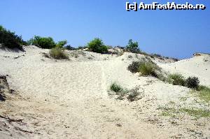 [P34] Am ajuns în Sahara? Nu, sunt dunele de nisip de la Sani » foto by cher-cher
 - 
<span class="allrVoted glyphicon glyphicon-heart hidden" id="av527312"></span>
<a class="m-l-10 hidden" id="sv527312" onclick="voting_Foto_DelVot(,527312,16829)" role="button">șterge vot <span class="glyphicon glyphicon-remove"></span></a>
<a id="v9527312" class=" c-red"  onclick="voting_Foto_SetVot(527312)" role="button"><span class="glyphicon glyphicon-heart-empty"></span> <b>LIKE</b> = Votează poza</a> <img class="hidden"  id="f527312W9" src="/imagini/loader.gif" border="0" /><span class="AjErrMes hidden" id="e527312ErM"></span>