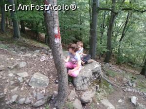 [P07] Drumul spre cascadă este marcat cu cruci roșii în chenar alb.  » foto by ioana5
 - 
<span class="allrVoted glyphicon glyphicon-heart hidden" id="av1008091"></span>
<a class="m-l-10 hidden" id="sv1008091" onclick="voting_Foto_DelVot(,1008091,16830)" role="button">șterge vot <span class="glyphicon glyphicon-remove"></span></a>
<a id="v91008091" class=" c-red"  onclick="voting_Foto_SetVot(1008091)" role="button"><span class="glyphicon glyphicon-heart-empty"></span> <b>LIKE</b> = Votează poza</a> <img class="hidden"  id="f1008091W9" src="/imagini/loader.gif" border="0" /><span class="AjErrMes hidden" id="e1008091ErM"></span>