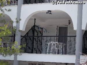 [P50] Balconul e locul unde dimineata iti bei cafeaua. E bine sa fie ca acesta » foto by raduax
 - 
<span class="allrVoted glyphicon glyphicon-heart hidden" id="av527449"></span>
<a class="m-l-10 hidden" id="sv527449" onclick="voting_Foto_DelVot(,527449,16833)" role="button">șterge vot <span class="glyphicon glyphicon-remove"></span></a>
<a id="v9527449" class=" c-red"  onclick="voting_Foto_SetVot(527449)" role="button"><span class="glyphicon glyphicon-heart-empty"></span> <b>LIKE</b> = Votează poza</a> <img class="hidden"  id="f527449W9" src="/imagini/loader.gif" border="0" /><span class="AjErrMes hidden" id="e527449ErM"></span>