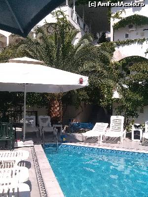 [P06] Piscina triunghiulara » foto by dianamea
 - 
<span class="allrVoted glyphicon glyphicon-heart hidden" id="av648947"></span>
<a class="m-l-10 hidden" id="sv648947" onclick="voting_Foto_DelVot(,648947,16833)" role="button">șterge vot <span class="glyphicon glyphicon-remove"></span></a>
<a id="v9648947" class=" c-red"  onclick="voting_Foto_SetVot(648947)" role="button"><span class="glyphicon glyphicon-heart-empty"></span> <b>LIKE</b> = Votează poza</a> <img class="hidden"  id="f648947W9" src="/imagini/loader.gif" border="0" /><span class="AjErrMes hidden" id="e648947ErM"></span>