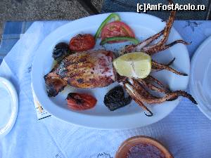 [P11] Dafni Beach, taverna Porto Mella- calamarul umplut cu branza feta » foto by luciaoradea
 - 
<span class="allrVoted glyphicon glyphicon-heart hidden" id="av688537"></span>
<a class="m-l-10 hidden" id="sv688537" onclick="voting_Foto_DelVot(,688537,16836)" role="button">șterge vot <span class="glyphicon glyphicon-remove"></span></a>
<a id="v9688537" class=" c-red"  onclick="voting_Foto_SetVot(688537)" role="button"><span class="glyphicon glyphicon-heart-empty"></span> <b>LIKE</b> = Votează poza</a> <img class="hidden"  id="f688537W9" src="/imagini/loader.gif" border="0" /><span class="AjErrMes hidden" id="e688537ErM"></span>