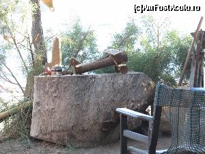 [P13] Dafni Beach, taverna Porto Mella- decoratiunile din lemn de pe buturuga gigantica » foto by luciaoradea
 - 
<span class="allrVoted glyphicon glyphicon-heart hidden" id="av688539"></span>
<a class="m-l-10 hidden" id="sv688539" onclick="voting_Foto_DelVot(,688539,16836)" role="button">șterge vot <span class="glyphicon glyphicon-remove"></span></a>
<a id="v9688539" class=" c-red"  onclick="voting_Foto_SetVot(688539)" role="button"><span class="glyphicon glyphicon-heart-empty"></span> <b>LIKE</b> = Votează poza</a> <img class="hidden"  id="f688539W9" src="/imagini/loader.gif" border="0" /><span class="AjErrMes hidden" id="e688539ErM"></span>