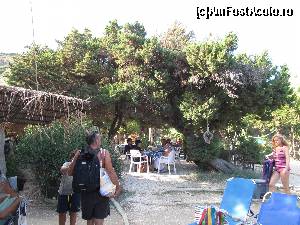 [P04] Dafni Beach, taverna Porto Mella- o alta parte a tavernei » foto by luciaoradea
 - 
<span class="allrVoted glyphicon glyphicon-heart hidden" id="av688530"></span>
<a class="m-l-10 hidden" id="sv688530" onclick="voting_Foto_DelVot(,688530,16836)" role="button">șterge vot <span class="glyphicon glyphicon-remove"></span></a>
<a id="v9688530" class=" c-red"  onclick="voting_Foto_SetVot(688530)" role="button"><span class="glyphicon glyphicon-heart-empty"></span> <b>LIKE</b> = Votează poza</a> <img class="hidden"  id="f688530W9" src="/imagini/loader.gif" border="0" /><span class="AjErrMes hidden" id="e688530ErM"></span>
