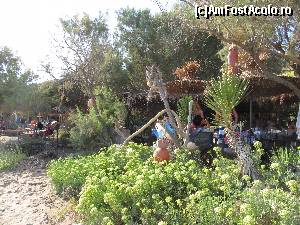 [P06] Dafni Beach, taverna Porto Mella- perdeaua de vegetatie care desparte taverna de plaja » foto by luciaoradea
 - 
<span class="allrVoted glyphicon glyphicon-heart hidden" id="av688532"></span>
<a class="m-l-10 hidden" id="sv688532" onclick="voting_Foto_DelVot(,688532,16836)" role="button">șterge vot <span class="glyphicon glyphicon-remove"></span></a>
<a id="v9688532" class=" c-red"  onclick="voting_Foto_SetVot(688532)" role="button"><span class="glyphicon glyphicon-heart-empty"></span> <b>LIKE</b> = Votează poza</a> <img class="hidden"  id="f688532W9" src="/imagini/loader.gif" border="0" /><span class="AjErrMes hidden" id="e688532ErM"></span>