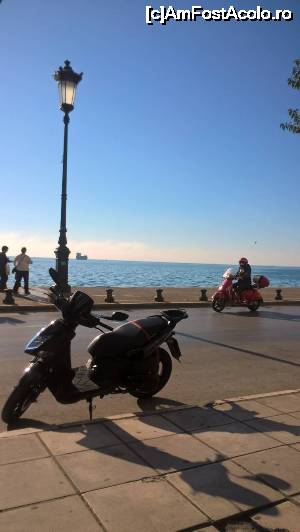 [P10]  -- <small>// FĂRĂ DESCRIERE</small> » foto by Fania
 - 
<span class="allrVoted glyphicon glyphicon-heart hidden" id="av701640"></span>
<a class="m-l-10 hidden" id="sv701640" onclick="voting_Foto_DelVot(,701640,16863)" role="button">șterge vot <span class="glyphicon glyphicon-remove"></span></a>
<a id="v9701640" class=" c-red"  onclick="voting_Foto_SetVot(701640)" role="button"><span class="glyphicon glyphicon-heart-empty"></span> <b>LIKE</b> = Votează poza</a> <img class="hidden"  id="f701640W9" src="/imagini/loader.gif" border="0" /><span class="AjErrMes hidden" id="e701640ErM"></span>
