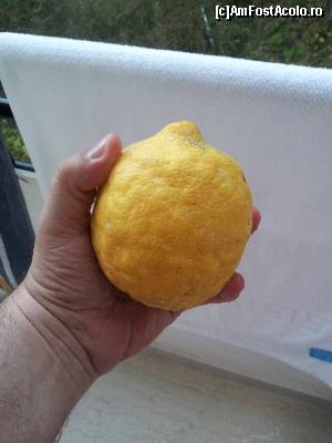 [P15] o lamaie maricica » foto by tony67ro
 - 
<span class="allrVoted glyphicon glyphicon-heart hidden" id="av549932"></span>
<a class="m-l-10 hidden" id="sv549932" onclick="voting_Foto_DelVot(,549932,16872)" role="button">șterge vot <span class="glyphicon glyphicon-remove"></span></a>
<a id="v9549932" class=" c-red"  onclick="voting_Foto_SetVot(549932)" role="button"><span class="glyphicon glyphicon-heart-empty"></span> <b>LIKE</b> = Votează poza</a> <img class="hidden"  id="f549932W9" src="/imagini/loader.gif" border="0" /><span class="AjErrMes hidden" id="e549932ErM"></span>