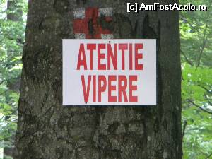 [P22] Feriti-va de pericole!  » foto by krisstinna
 - 
<span class="allrVoted glyphicon glyphicon-heart hidden" id="av529831"></span>
<a class="m-l-10 hidden" id="sv529831" onclick="voting_Foto_DelVot(,529831,16874)" role="button">șterge vot <span class="glyphicon glyphicon-remove"></span></a>
<a id="v9529831" class=" c-red"  onclick="voting_Foto_SetVot(529831)" role="button"><span class="glyphicon glyphicon-heart-empty"></span> <b>LIKE</b> = Votează poza</a> <img class="hidden"  id="f529831W9" src="/imagini/loader.gif" border="0" /><span class="AjErrMes hidden" id="e529831ErM"></span>