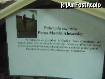 [P11] Expozitia de pasari exotice - informatii despre Marele Alexander » foto by Paty
 - 
<span class="allrVoted glyphicon glyphicon-heart hidden" id="av165914"></span>
<a class="m-l-10 hidden" id="sv165914" onclick="voting_Foto_DelVot(,165914,16883)" role="button">șterge vot <span class="glyphicon glyphicon-remove"></span></a>
<a id="v9165914" class=" c-red"  onclick="voting_Foto_SetVot(165914)" role="button"><span class="glyphicon glyphicon-heart-empty"></span> <b>LIKE</b> = Votează poza</a> <img class="hidden"  id="f165914W9" src="/imagini/loader.gif" border="0" /><span class="AjErrMes hidden" id="e165914ErM"></span>