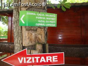 [P30] Din loc în loc apar săgeți care indică direcția de vizitare, dar și informații cu privire la animalele pe care urmează să le vedem.  » foto by Floryn81
 - 
<span class="allrVoted glyphicon glyphicon-heart hidden" id="av754177"></span>
<a class="m-l-10 hidden" id="sv754177" onclick="voting_Foto_DelVot(,754177,16883)" role="button">șterge vot <span class="glyphicon glyphicon-remove"></span></a>
<a id="v9754177" class=" c-red"  onclick="voting_Foto_SetVot(754177)" role="button"><span class="glyphicon glyphicon-heart-empty"></span> <b>LIKE</b> = Votează poza</a> <img class="hidden"  id="f754177W9" src="/imagini/loader.gif" border="0" /><span class="AjErrMes hidden" id="e754177ErM"></span>