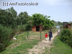 [P41] Mergem spre malul lacului din Microrezervație; vom admira păsările iubitoare de apă în elementul lor.  » foto by Floryn81
 - 
<span class="allrVoted glyphicon glyphicon-heart hidden" id="av754191"></span>
<a class="m-l-10 hidden" id="sv754191" onclick="voting_Foto_DelVot(,754191,16883)" role="button">șterge vot <span class="glyphicon glyphicon-remove"></span></a>
<a id="v9754191" class=" c-red"  onclick="voting_Foto_SetVot(754191)" role="button"><span class="glyphicon glyphicon-heart-empty"></span> <b>LIKE</b> = Votează poza</a> <img class="hidden"  id="f754191W9" src="/imagini/loader.gif" border="0" /><span class="AjErrMes hidden" id="e754191ErM"></span>