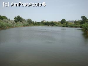 [P45] Lacul din cadrul Complexului Muzeal de Științe ale Naturii din Constanța.  » foto by Floryn81
 - 
<span class="allrVoted glyphicon glyphicon-heart hidden" id="av754196"></span>
<a class="m-l-10 hidden" id="sv754196" onclick="voting_Foto_DelVot(,754196,16883)" role="button">șterge vot <span class="glyphicon glyphicon-remove"></span></a>
<a id="v9754196" class=" c-red"  onclick="voting_Foto_SetVot(754196)" role="button"><span class="glyphicon glyphicon-heart-empty"></span> <b>LIKE</b> = Votează poza</a> <img class="hidden"  id="f754196W9" src="/imagini/loader.gif" border="0" /><span class="AjErrMes hidden" id="e754196ErM"></span>