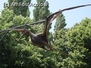 [P70] Ultimul exponat admirat, ultima fotografie atașată! Un îndemn de final: Vizitați Complexul Muzeal de Științe ale Naturii din Constanța!  » foto by Floryn81
 - 
<span class="allrVoted glyphicon glyphicon-heart hidden" id="av754227"></span>
<a class="m-l-10 hidden" id="sv754227" onclick="voting_Foto_DelVot(,754227,16883)" role="button">șterge vot <span class="glyphicon glyphicon-remove"></span></a>
<a id="v9754227" class=" c-red"  onclick="voting_Foto_SetVot(754227)" role="button"><span class="glyphicon glyphicon-heart-empty"></span> <b>LIKE</b> = Votează poza</a> <img class="hidden"  id="f754227W9" src="/imagini/loader.gif" border="0" /><span class="AjErrMes hidden" id="e754227ErM"></span>