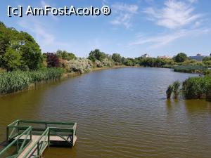 [P28] Lacul văzut de sus.  » foto by Floryn81
 - 
<span class="allrVoted glyphicon glyphicon-heart hidden" id="av994117"></span>
<a class="m-l-10 hidden" id="sv994117" onclick="voting_Foto_DelVot(,994117,16883)" role="button">șterge vot <span class="glyphicon glyphicon-remove"></span></a>
<a id="v9994117" class=" c-red"  onclick="voting_Foto_SetVot(994117)" role="button"><span class="glyphicon glyphicon-heart-empty"></span> <b>LIKE</b> = Votează poza</a> <img class="hidden"  id="f994117W9" src="/imagini/loader.gif" border="0" /><span class="AjErrMes hidden" id="e994117ErM"></span>