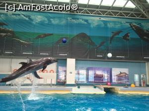 [P10] spectacol Delfinariu » foto by julyalina
 - 
<span class="allrVoted glyphicon glyphicon-heart hidden" id="av813155"></span>
<a class="m-l-10 hidden" id="sv813155" onclick="voting_Foto_DelVot(,813155,16883)" role="button">șterge vot <span class="glyphicon glyphicon-remove"></span></a>
<a id="v9813155" class=" c-red"  onclick="voting_Foto_SetVot(813155)" role="button"><span class="glyphicon glyphicon-heart-empty"></span> <b>LIKE</b> = Votează poza</a> <img class="hidden"  id="f813155W9" src="/imagini/loader.gif" border="0" /><span class="AjErrMes hidden" id="e813155ErM"></span>