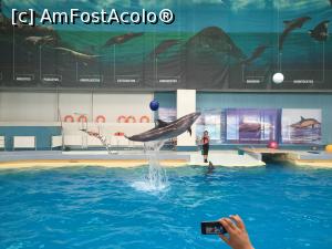 [P09] Spectacol Delfinariu » foto by julyalina
 - 
<span class="allrVoted glyphicon glyphicon-heart hidden" id="av813154"></span>
<a class="m-l-10 hidden" id="sv813154" onclick="voting_Foto_DelVot(,813154,16883)" role="button">șterge vot <span class="glyphicon glyphicon-remove"></span></a>
<a id="v9813154" class=" c-red"  onclick="voting_Foto_SetVot(813154)" role="button"><span class="glyphicon glyphicon-heart-empty"></span> <b>LIKE</b> = Votează poza</a> <img class="hidden"  id="f813154W9" src="/imagini/loader.gif" border="0" /><span class="AjErrMes hidden" id="e813154ErM"></span>
