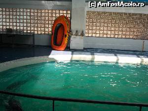 [P13] Piscina interioară, aceeași ca acum 20 de ani. Cel puțin eu așa am avut impresia, că nu s-a schimbat nimic.  » foto by amalia80
 - 
<span class="allrVoted glyphicon glyphicon-heart hidden" id="av649962"></span>
<a class="m-l-10 hidden" id="sv649962" onclick="voting_Foto_DelVot(,649962,16883)" role="button">șterge vot <span class="glyphicon glyphicon-remove"></span></a>
<a id="v9649962" class=" c-red"  onclick="voting_Foto_SetVot(649962)" role="button"><span class="glyphicon glyphicon-heart-empty"></span> <b>LIKE</b> = Votează poza</a> <img class="hidden"  id="f649962W9" src="/imagini/loader.gif" border="0" /><span class="AjErrMes hidden" id="e649962ErM"></span>
