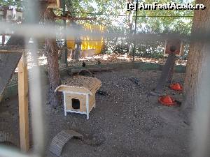 [P15] În unele țarcuri păsările se plimbau alături de iepuri, veverițe sau alte animale mici.  » foto by amalia80
 - 
<span class="allrVoted glyphicon glyphicon-heart hidden" id="av649964"></span>
<a class="m-l-10 hidden" id="sv649964" onclick="voting_Foto_DelVot(,649964,16883)" role="button">șterge vot <span class="glyphicon glyphicon-remove"></span></a>
<a id="v9649964" class=" c-red"  onclick="voting_Foto_SetVot(649964)" role="button"><span class="glyphicon glyphicon-heart-empty"></span> <b>LIKE</b> = Votează poza</a> <img class="hidden"  id="f649964W9" src="/imagini/loader.gif" border="0" /><span class="AjErrMes hidden" id="e649964ErM"></span>