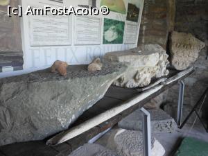 [P33] Felix Romuliana - Palatul imperatorului Galerius. Muzeul.  » foto by iulianic
 - 
<span class="allrVoted glyphicon glyphicon-heart hidden" id="av1131613"></span>
<a class="m-l-10 hidden" id="sv1131613" onclick="voting_Foto_DelVot(,1131613,16888)" role="button">șterge vot <span class="glyphicon glyphicon-remove"></span></a>
<a id="v91131613" class=" c-red"  onclick="voting_Foto_SetVot(1131613)" role="button"><span class="glyphicon glyphicon-heart-empty"></span> <b>LIKE</b> = Votează poza</a> <img class="hidden"  id="f1131613W9" src="/imagini/loader.gif" border="0" /><span class="AjErrMes hidden" id="e1131613ErM"></span>