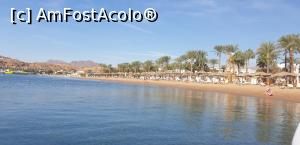 [P15] De pe vaporasul ce duce turistii la zona de snorkeling. » foto by Lisa
 - 
<span class="allrVoted glyphicon glyphicon-heart hidden" id="av1281432"></span>
<a class="m-l-10 hidden" id="sv1281432" onclick="voting_Foto_DelVot(,1281432,16922)" role="button">șterge vot <span class="glyphicon glyphicon-remove"></span></a>
<a id="v91281432" class=" c-red"  onclick="voting_Foto_SetVot(1281432)" role="button"><span class="glyphicon glyphicon-heart-empty"></span> <b>LIKE</b> = Votează poza</a> <img class="hidden"  id="f1281432W9" src="/imagini/loader.gif" border="0" /><span class="AjErrMes hidden" id="e1281432ErM"></span>