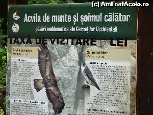 [P07]  -- <small>// FĂRĂ DESCRIERE</small> » foto by Paty
 - 
<span class="allrVoted glyphicon glyphicon-heart hidden" id="av534408"></span>
<a class="m-l-10 hidden" id="sv534408" onclick="voting_Foto_DelVot(,534408,16943)" role="button">șterge vot <span class="glyphicon glyphicon-remove"></span></a>
<a id="v9534408" class=" c-red"  onclick="voting_Foto_SetVot(534408)" role="button"><span class="glyphicon glyphicon-heart-empty"></span> <b>LIKE</b> = Votează poza</a> <img class="hidden"  id="f534408W9" src="/imagini/loader.gif" border="0" /><span class="AjErrMes hidden" id="e534408ErM"></span>
