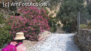 [P06] Ieșind din defileu, suntem deja în Agia Roumeli.  » foto by maryka
 - 
<span class="allrVoted glyphicon glyphicon-heart hidden" id="av842140"></span>
<a class="m-l-10 hidden" id="sv842140" onclick="voting_Foto_DelVot(,842140,16947)" role="button">șterge vot <span class="glyphicon glyphicon-remove"></span></a>
<a id="v9842140" class=" c-red"  onclick="voting_Foto_SetVot(842140)" role="button"><span class="glyphicon glyphicon-heart-empty"></span> <b>LIKE</b> = Votează poza</a> <img class="hidden"  id="f842140W9" src="/imagini/loader.gif" border="0" /><span class="AjErrMes hidden" id="e842140ErM"></span>